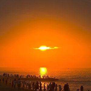 国产在线观看精品
