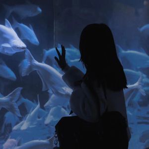 国产在线观看精品
