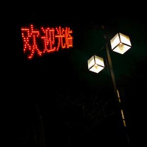 国产在线观看精品
